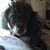 Linda Jones's profile image