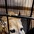 Angel Gonzalez's profile image