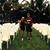 Scott Wustefeld's profile image
