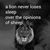 Joe Intile Jr.'s profile image