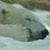 Ed Harrigan's profile image