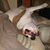 Alicia Kitto-Dooley's profile image