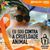 Andréa Fernandes Palhares's profile image