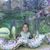 Teresa Adkins Mckeel's profile image