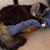 Rachel Medlin's profile image