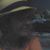 Lucy Dougherty Ray's profile image