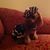 June Soles Causey's profile image
