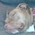 Eddie Qualls's profile image