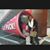 BigRed Carpenter's profile image