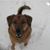 Sally Rasmussen's profile image