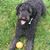 Sharon Doyle's profile image