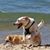 Jess Parker-Wilfret's profile image