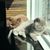 Tammy Gillingwater's profile image