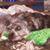 Peggy Riley's profile image