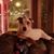 David Reichert's profile image