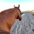 Honey Cisco Jensen's profile image