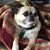 Miki Dewar Smith's profile image