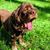 Michele Vettorel Polzer's profile image