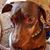 Cheryl Lee's profile image