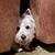 Bonnie Blunier's profile image