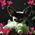 Lisa Moss Kinder's profile image