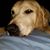 Phil Hazelton's profile image