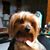 James Coldren's profile image