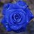 Suzan Babb-Zweck's profile image