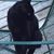 Judi Whitcomb's profile image