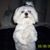Kathy Steel's profile image