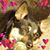 Tammy Marienda McLemore's profile image