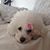 Rosanne Finley's profile image