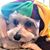 Jan Smith's profile image