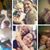 Sarah Nicole's profile image