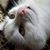 Birgit Liebe's profile image