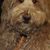 Anna Cusack's profile image