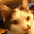 Joshua T Rowe's profile image