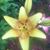 Jill Johnson's profile image