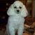 Jeanette Emmert's profile image