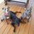 Michael Alan Clark's profile image
