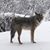 Kathleen Metcalfe's profile image