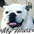 Fergie Henry's profile image
