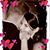 Francie Rakiec's profile image