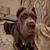 Don Francis's profile image
