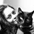 Steffi D'Angelo's profile image