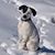 Julie Salzer Armstrong's profile image