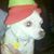 Barb Dixon's profile image
