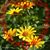 Linda Daniels- Giroux's profile image