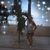 Jen Trulson Gebhart's profile image