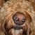 Frank Holden's profile image